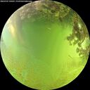 ./images/calvert/underwater/20260705/underwater20260705_145001M.jpg