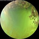 ./images/calvert/underwater/20260705/underwater20260705_145501M.jpg