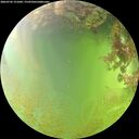 ./images/calvert/underwater/20260705/underwater20260705_151001M.jpg