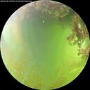 ./images/calvert/underwater/20260705/underwater20260705_152501M.jpg