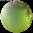 ./images/calvert/underwater/20260705/underwater20260705_153501M.jpg