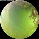 ./images/calvert/underwater/20260705/underwater20260705_154002M.jpg