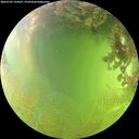 ./images/calvert/underwater/20260705/underwater20260705_154501M.jpg