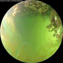 ./images/calvert/underwater/20260705/underwater20260705_155001M.jpg