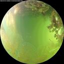 ./images/calvert/underwater/20260705/underwater20260705_160001M.jpg