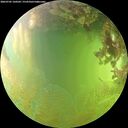 ./images/calvert/underwater/20260705/underwater20260705_160501M.jpg