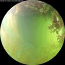 ./images/calvert/underwater/20260705/underwater20260705_161001M.jpg