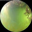 ./images/calvert/underwater/20260705/underwater20260705_161501M.jpg