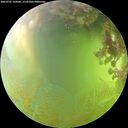 ./images/calvert/underwater/20260705/underwater20260705_162001M.jpg
