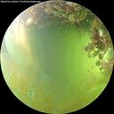 ./images/calvert/underwater/20260705/underwater20260705_162501M.jpg