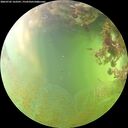 ./images/calvert/underwater/20260705/underwater20260705_163501M.jpg