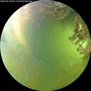 ./images/calvert/underwater/20260705/underwater20260705_165501M.jpg