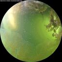 ./images/calvert/underwater/20260705/underwater20260705_170001M.jpg