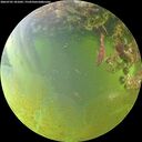 ./images/calvert/underwater/20260705/underwater20260705_181001M.jpg