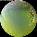 ./images/calvert/underwater/20260705/underwater20260705_182001M.jpg