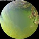./images/calvert/underwater/20260705/underwater20260705_182501M.jpg