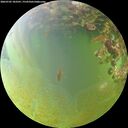 ./images/calvert/underwater/20260705/underwater20260705_183501M.jpg