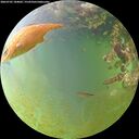 ./images/calvert/underwater/20260705/underwater20260705_184001M.jpg