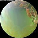 ./images/calvert/underwater/20260705/underwater20260705_185002M.jpg