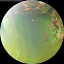 ./images/calvert/underwater/20260705/underwater20260705_185501M.jpg