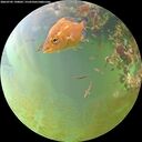 ./images/calvert/underwater/20260705/underwater20260705_190001M.jpg