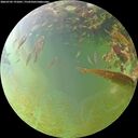 ./images/calvert/underwater/20260705/underwater20260705_191001M.jpg
