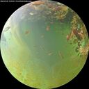 ./images/calvert/underwater/20260705/underwater20260705_192501M.jpg