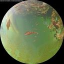 ./images/calvert/underwater/20260705/underwater20260705_200001M.jpg