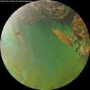 ./images/calvert/underwater/20260705/underwater20260705_210501M.jpg