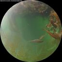 ./images/calvert/underwater/20260705/underwater20260705_212501M.jpg