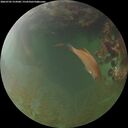 ./images/calvert/underwater/20260705/underwater20260705_214501M.jpg