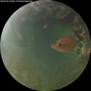 ./images/calvert/underwater/20260705/underwater20260705_215001M.jpg
