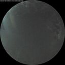 ./images/calvert/underwater/20260706/underwater20260706_045002M.jpg