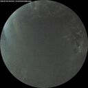 ./images/calvert/underwater/20260706/underwater20260706_045501M.jpg