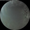 ./images/calvert/underwater/20260706/underwater20260706_050001M.jpg