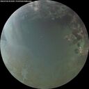 ./images/calvert/underwater/20260706/underwater20260706_051001M.jpg