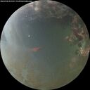 ./images/calvert/underwater/20260706/underwater20260706_051501M.jpg