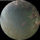 ./images/calvert/underwater/20260706/underwater20260706_052001M.jpg