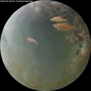 ./images/calvert/underwater/20260706/underwater20260706_052501M.jpg