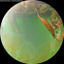 ./images/calvert/underwater/20260706/underwater20260706_075501M.jpg