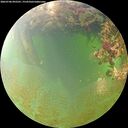 ./images/calvert/underwater/20260706/underwater20260706_092501M.jpg