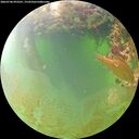 ./images/calvert/underwater/20260706/underwater20260706_093501M.jpg