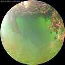./images/calvert/underwater/20260706/underwater20260706_100501M.jpg