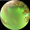 ./images/calvert/underwater/20260706/underwater20260706_121501M.jpg