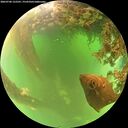 ./images/calvert/underwater/20260706/underwater20260706_122501M.jpg
