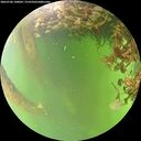 ./images/calvert/underwater/20260706/underwater20260706_140002M.jpg