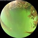 ./images/calvert/underwater/20260706/underwater20260706_140501M.jpg