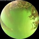 ./images/calvert/underwater/20260706/underwater20260706_142001M.jpg