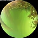 ./images/calvert/underwater/20260706/underwater20260706_143002M.jpg