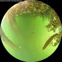 ./images/calvert/underwater/20260706/underwater20260706_144501M.jpg